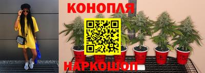 дживик Чебаркуль