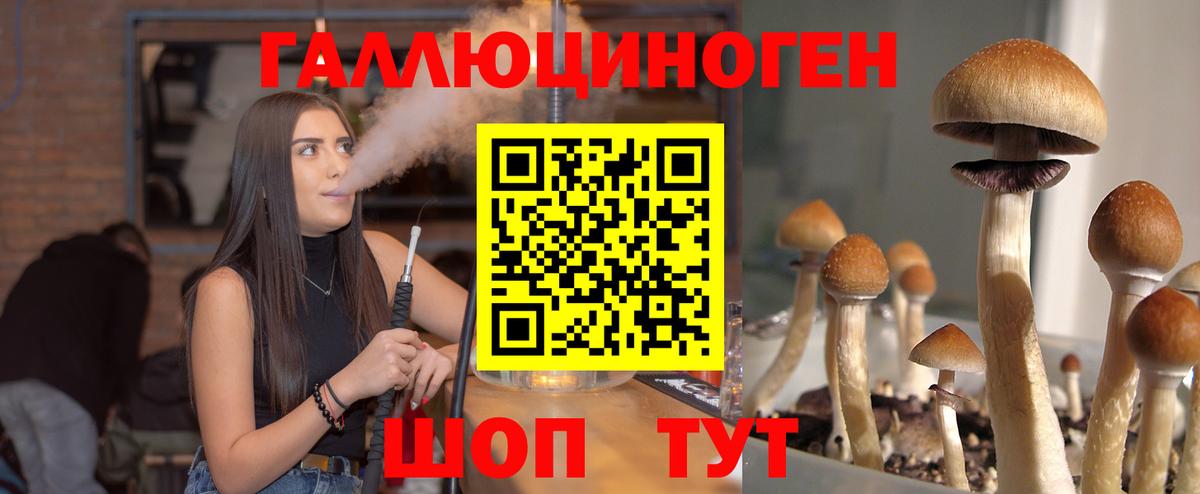 Псилоцибиновые грибы Magic Shrooms  Вход с VPN  Алушта 